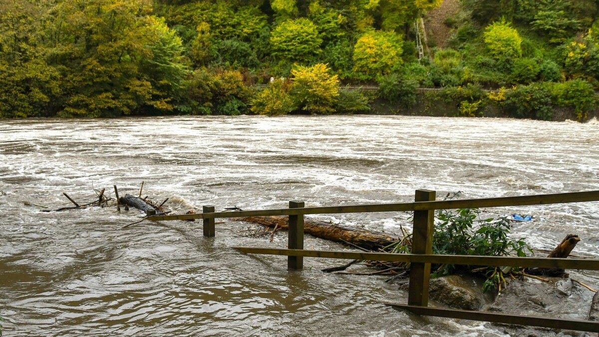    Фото: Ceri Breeze/Shutterstock/Fotodom