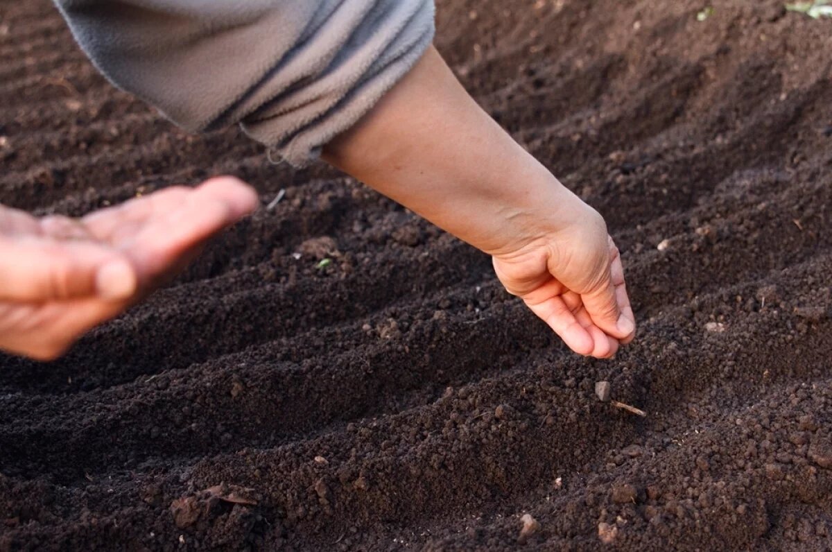   Легкий способ.