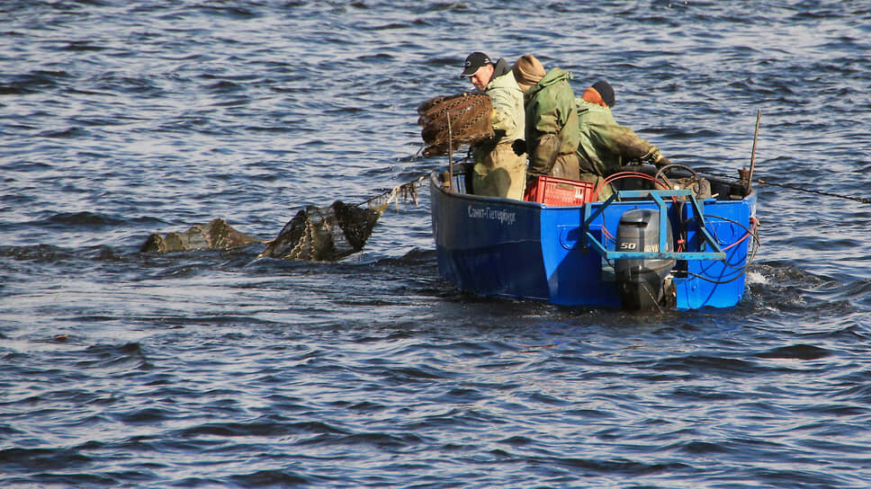 Фото: Александр Чиженок / Коммерсантъ