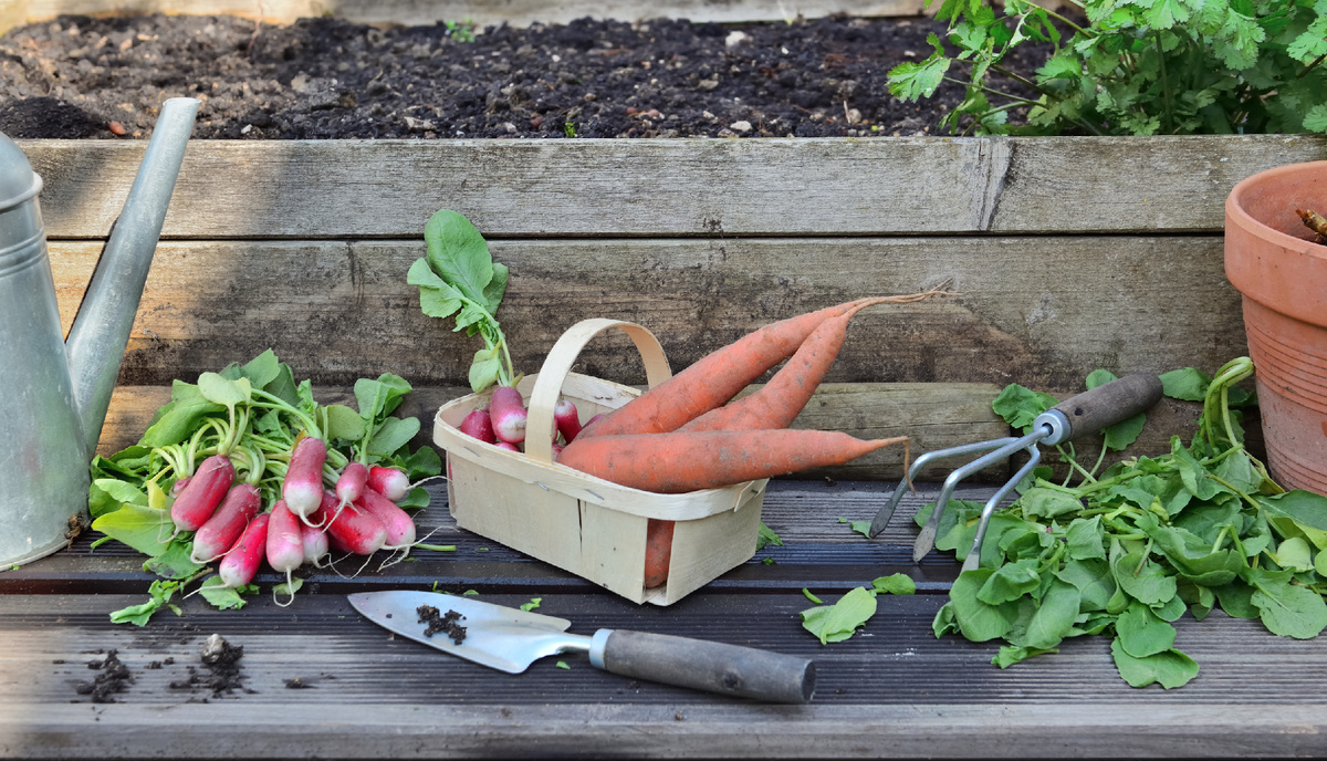 Designed by Freepik. Источник: www.freepik.com