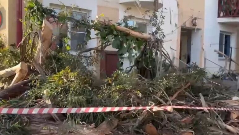    Фото: t.me/chp_sochi