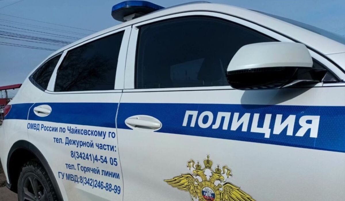     Патрульный автомобиль полиции. Источник: ОМВД по ЧГО Автор фото: Отдел МВД по ЧГО