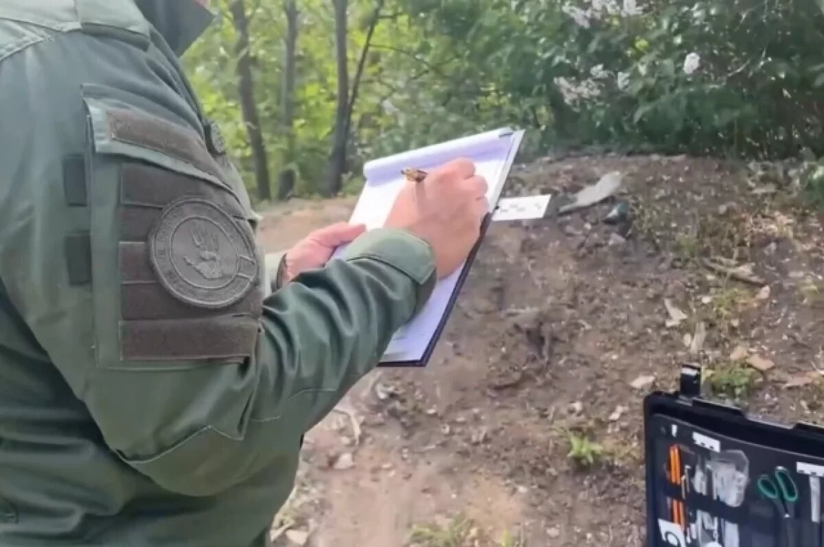    14-летняя фанатка битцевского маньяка выбрала жертву для убийства случайно