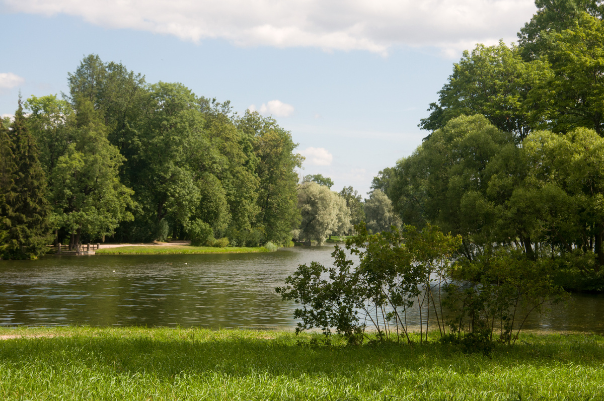 Летние краски