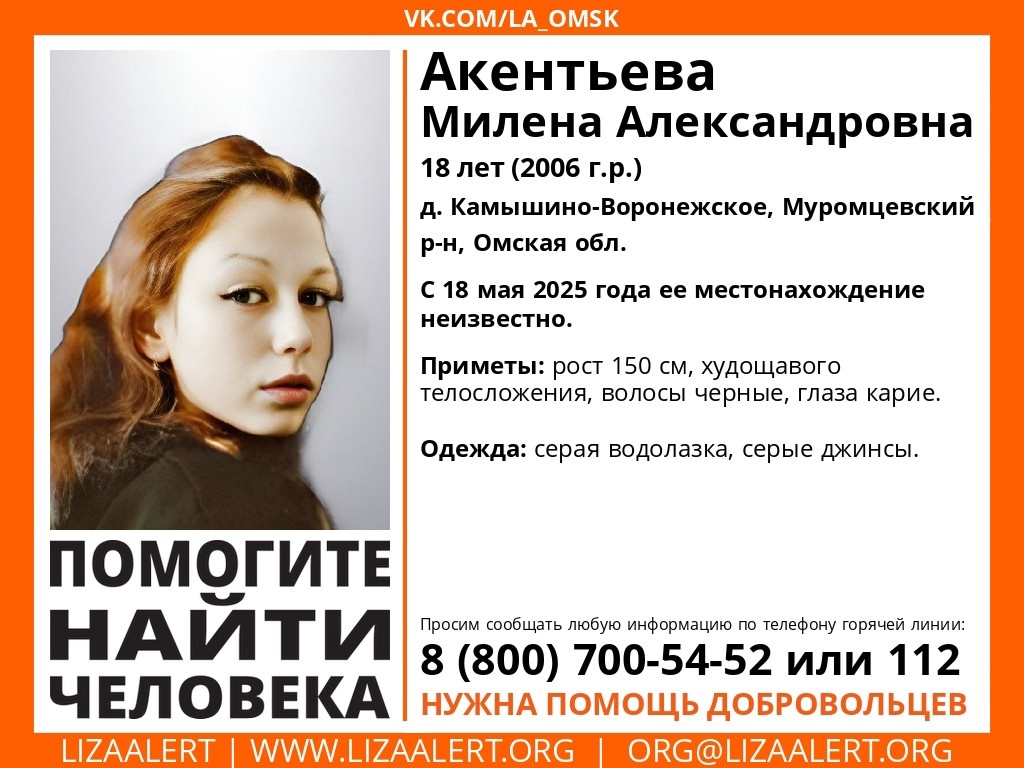    Фото: ориентировка ПСО «ЛизаАлерт Омская область»