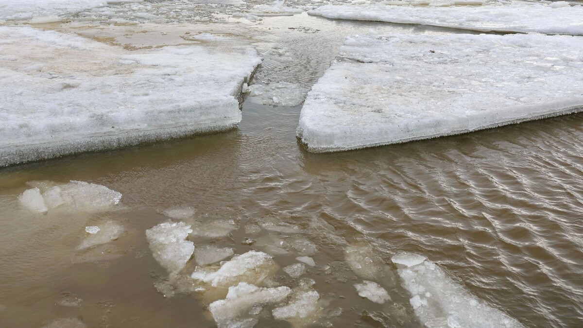    Фото: Андрей Ткачев/«Ямал-Медиа»