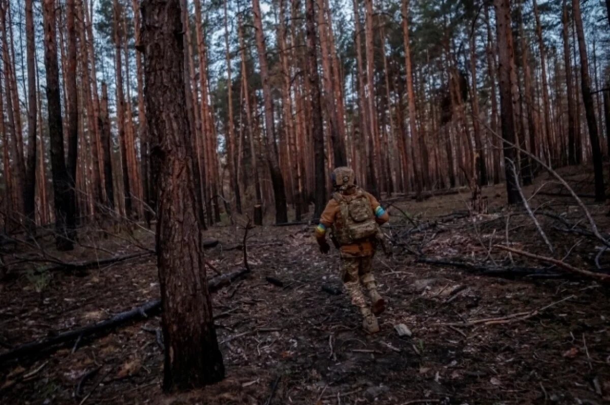    В сумском селе Беловоды погибли сотни и попали в плен десятки бойцов ВСУ