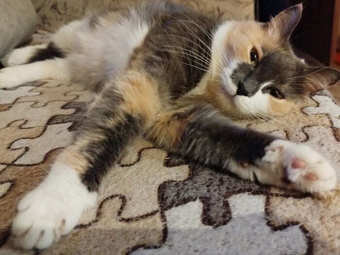 Листайте вправо, чтобы увидеть больше изображений