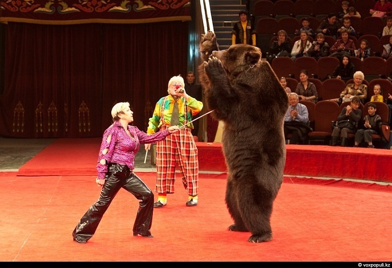 Надежд Такшантова на манеже, фото отсюда https://vk.com/aliyatak13