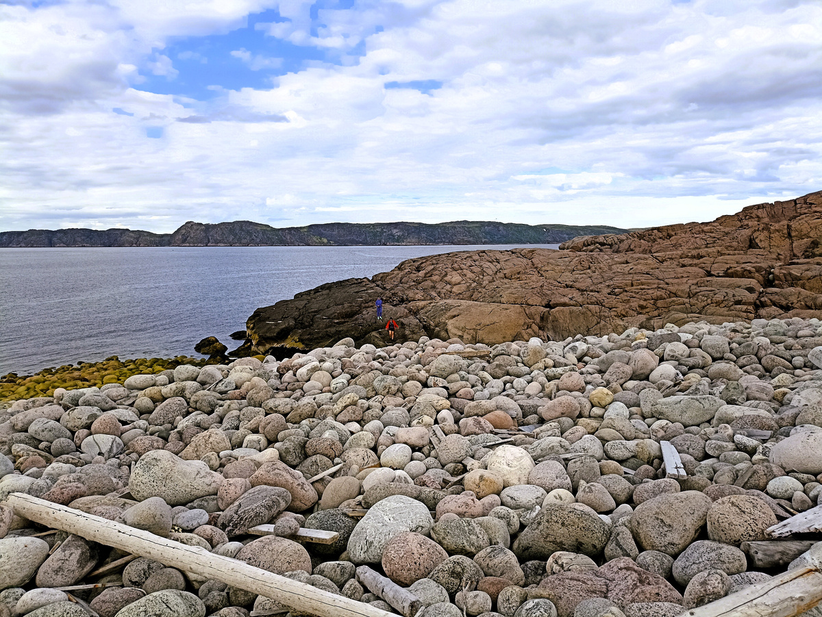 Яйца дракона