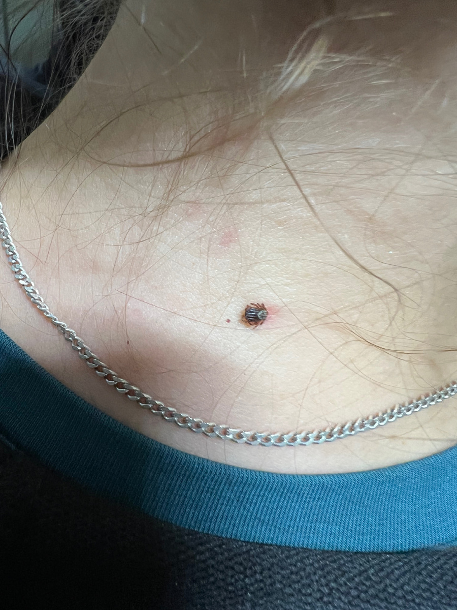 Вот он, засранец 😂