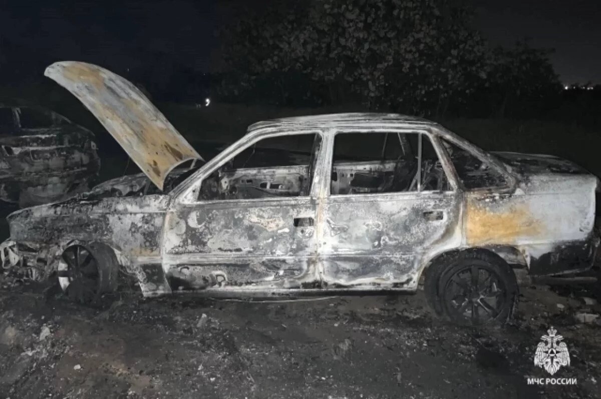   Две машины сгорели воскресной ночью в одном дворе на севере Волгограда