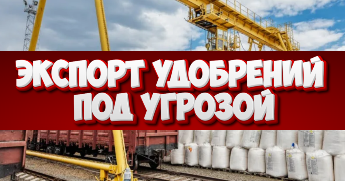 Инвестиции в отрасль оценены в 2 трлн рублей, но главная проблема — логистика.
