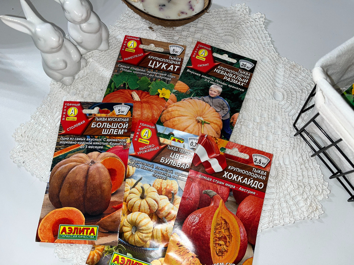 Семена тыквы 2025
