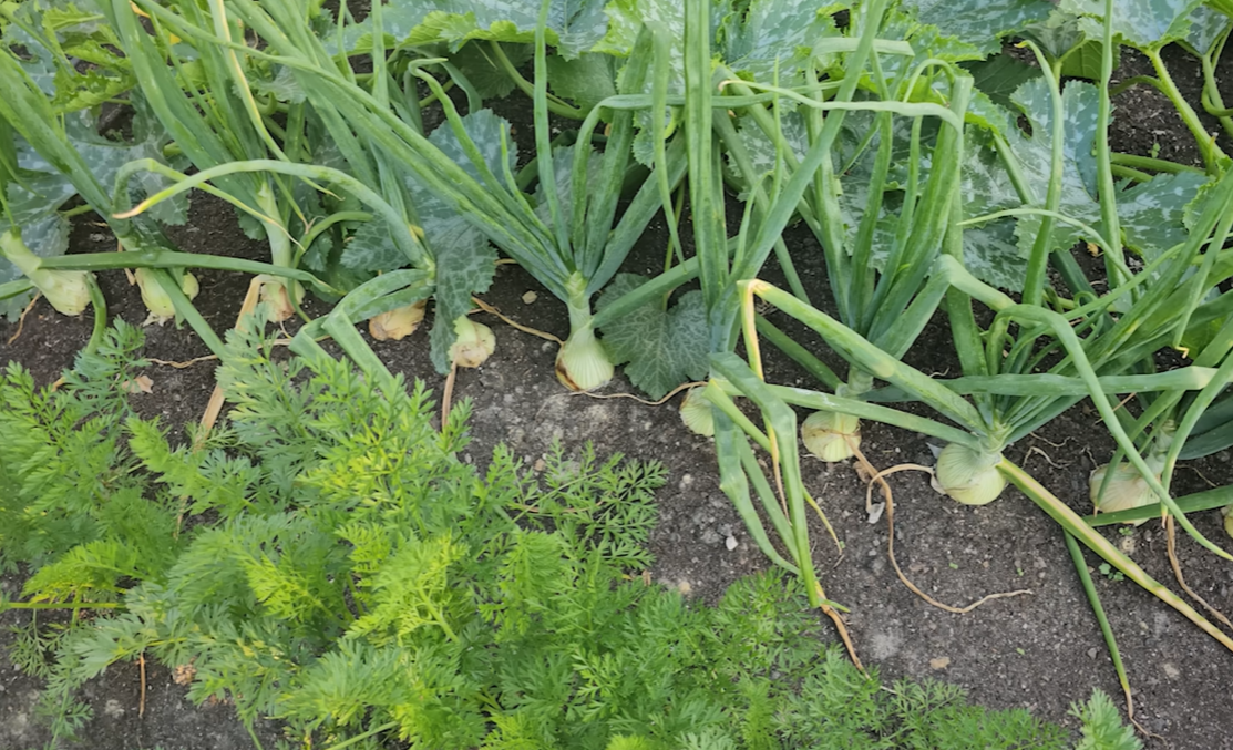 Фото из личного архива