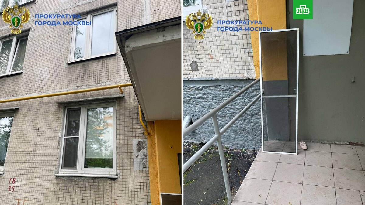    Фото: moscowproc / t.me