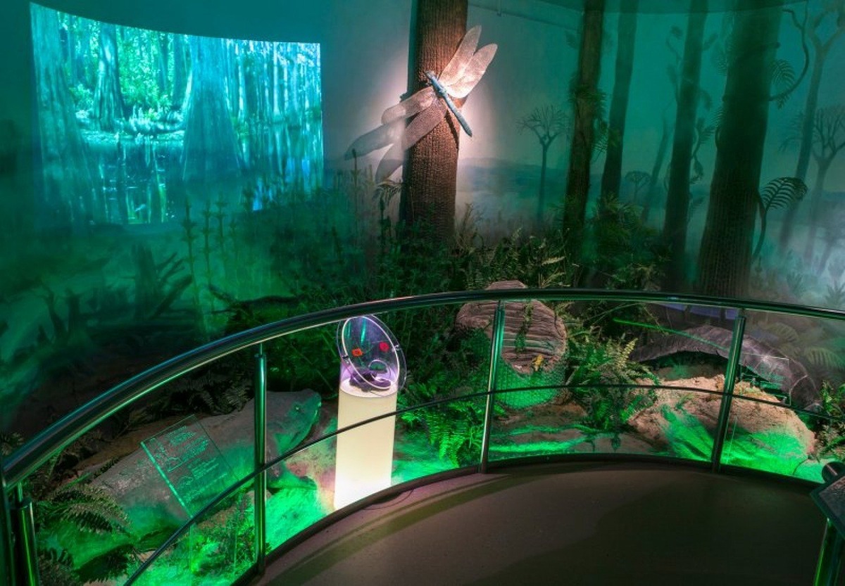  «Познай себя — познай мир». Фото: darwinmuseum.ru