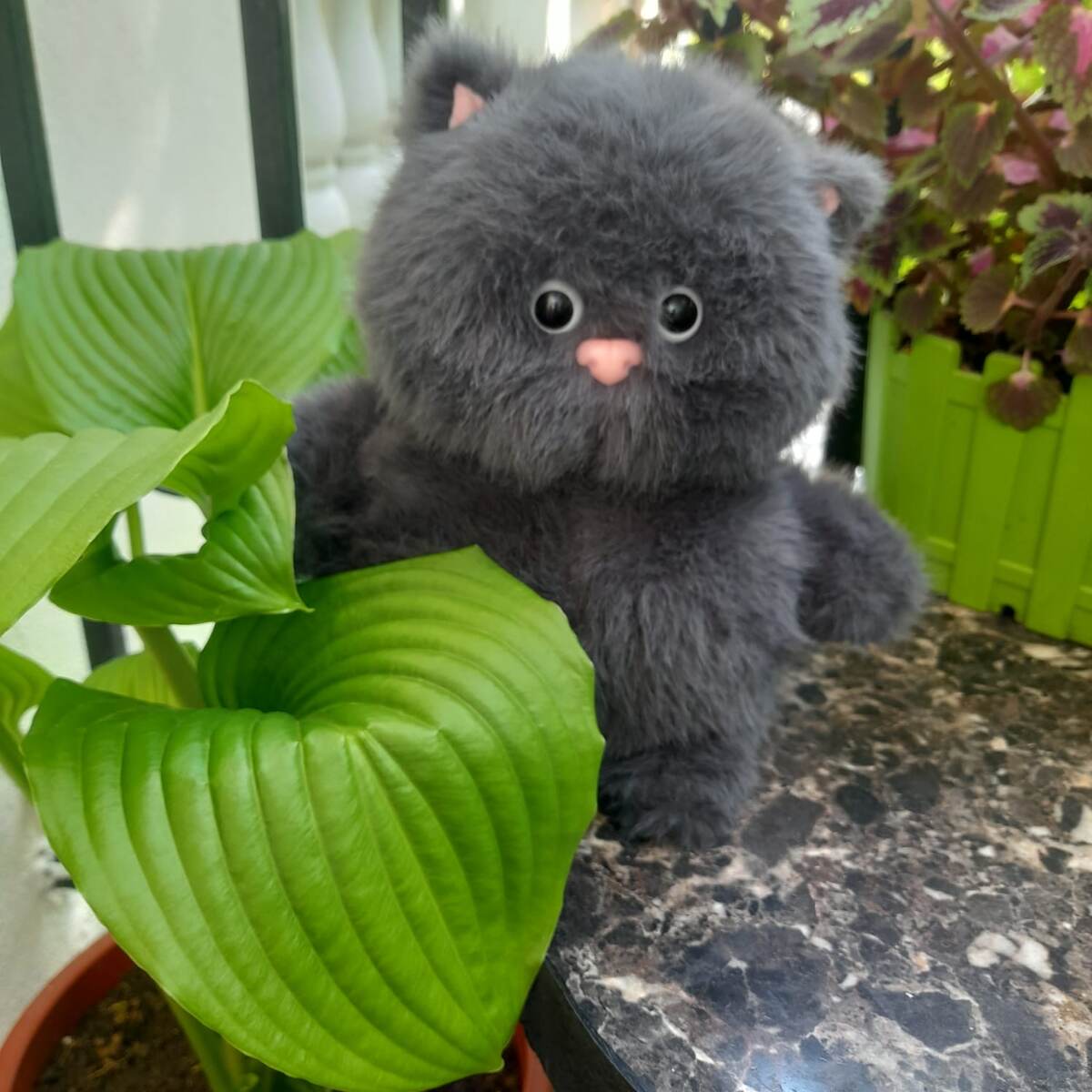 Кот Василий. 