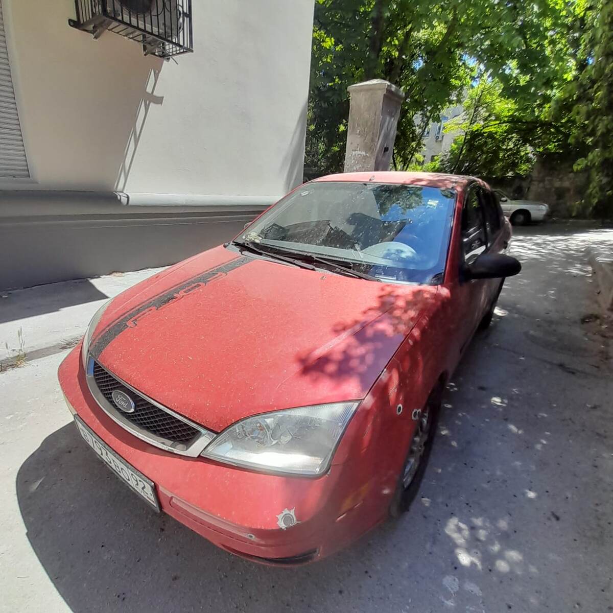 После дождя с пексами Египта... 