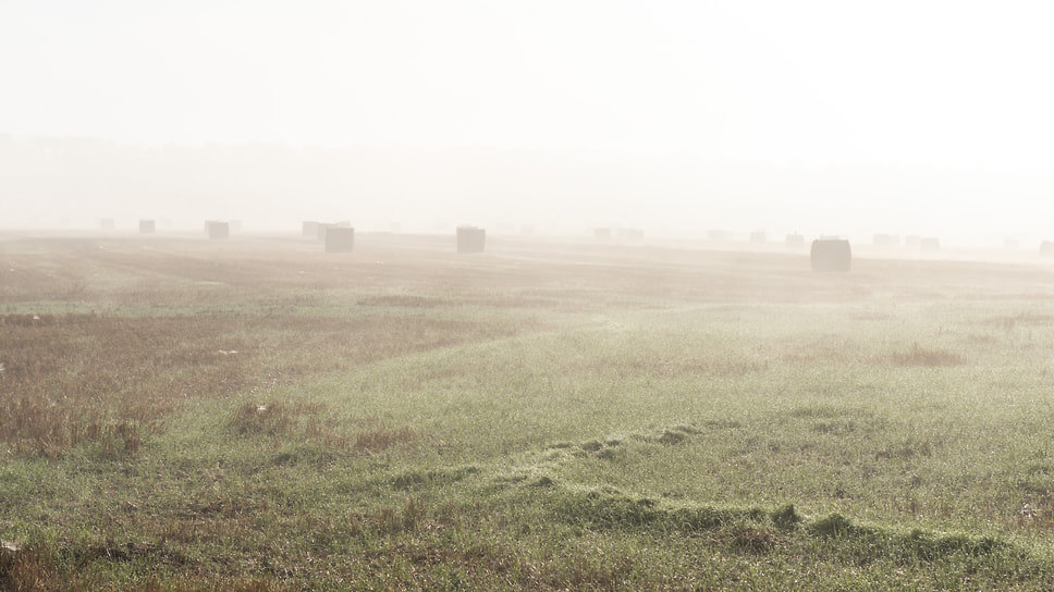 Фото: Олег Харсеев / Коммерсантъ