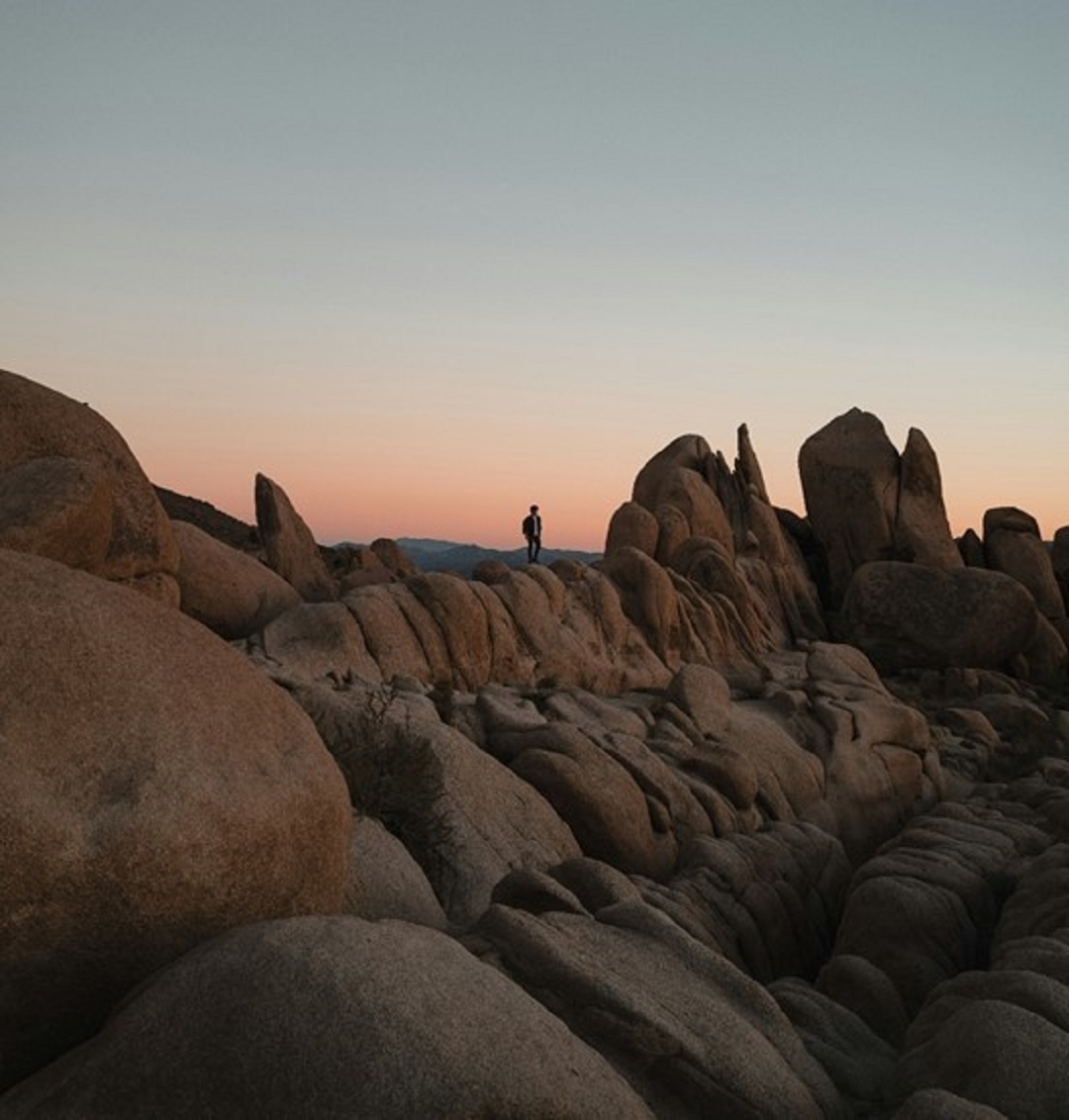 Источник: https://unsplash.com/