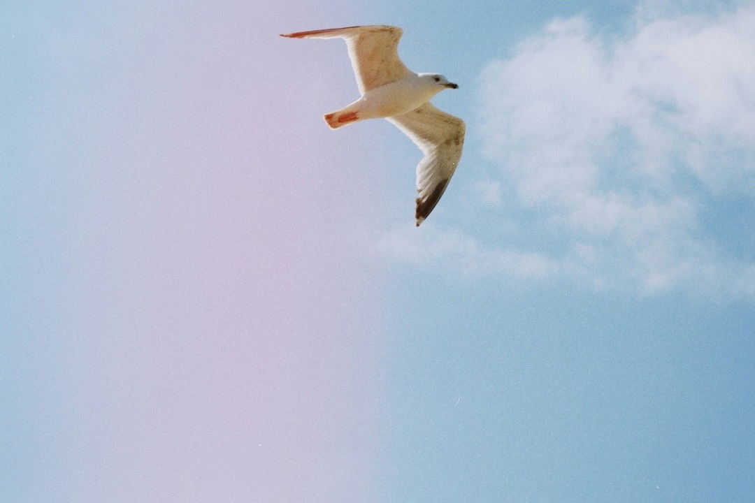 Источник: https://unsplash.com/