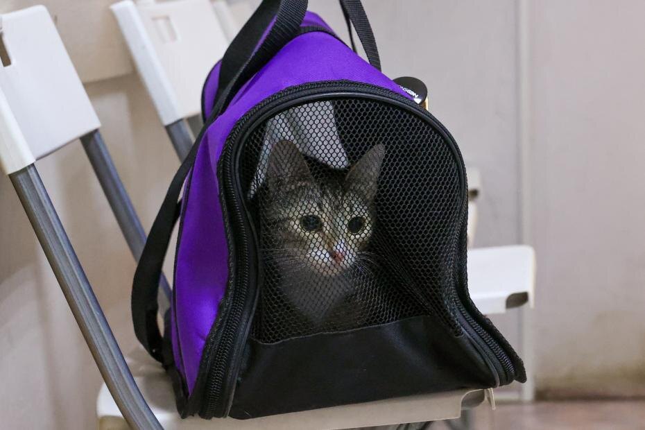    Сергей Петров/NEWS.ru