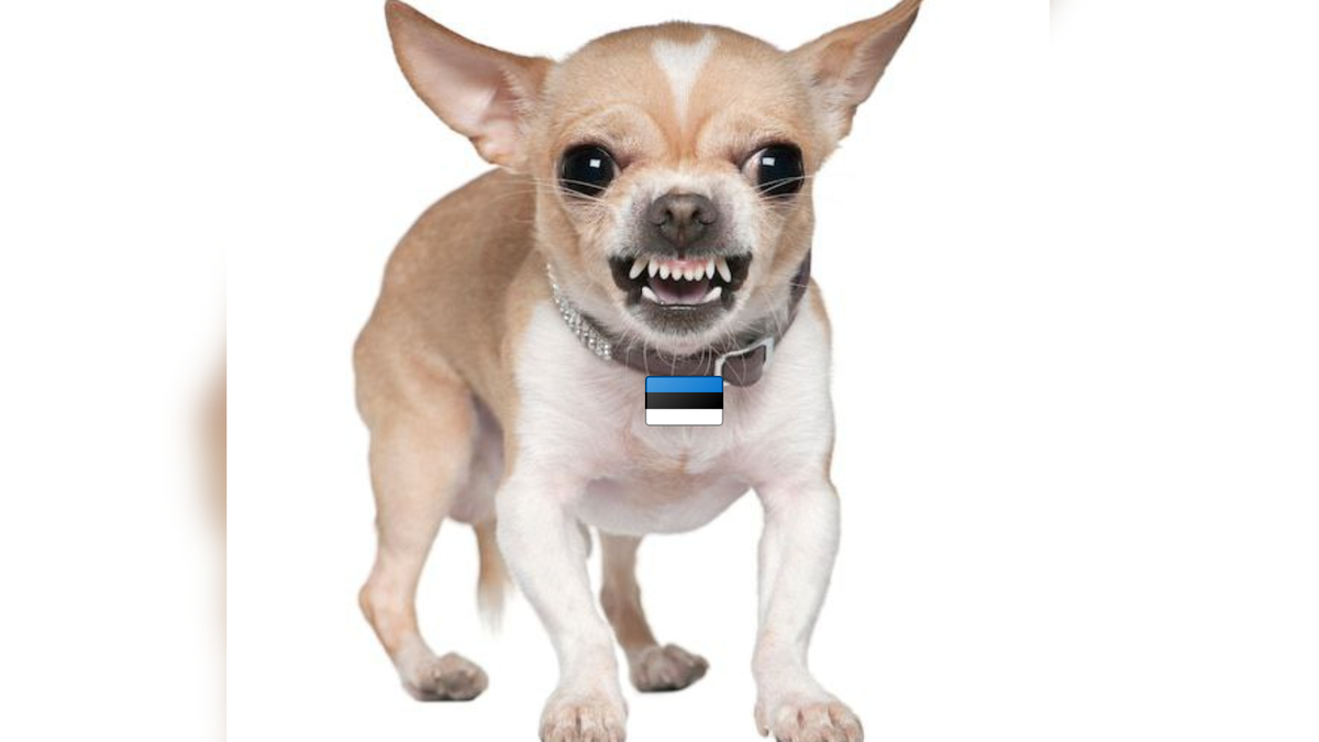 Автор: В. Панченко