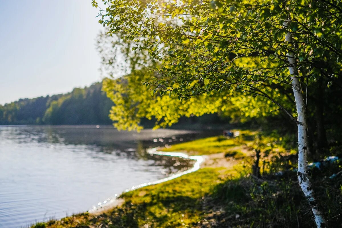 Баклановское озеро crt67.ru