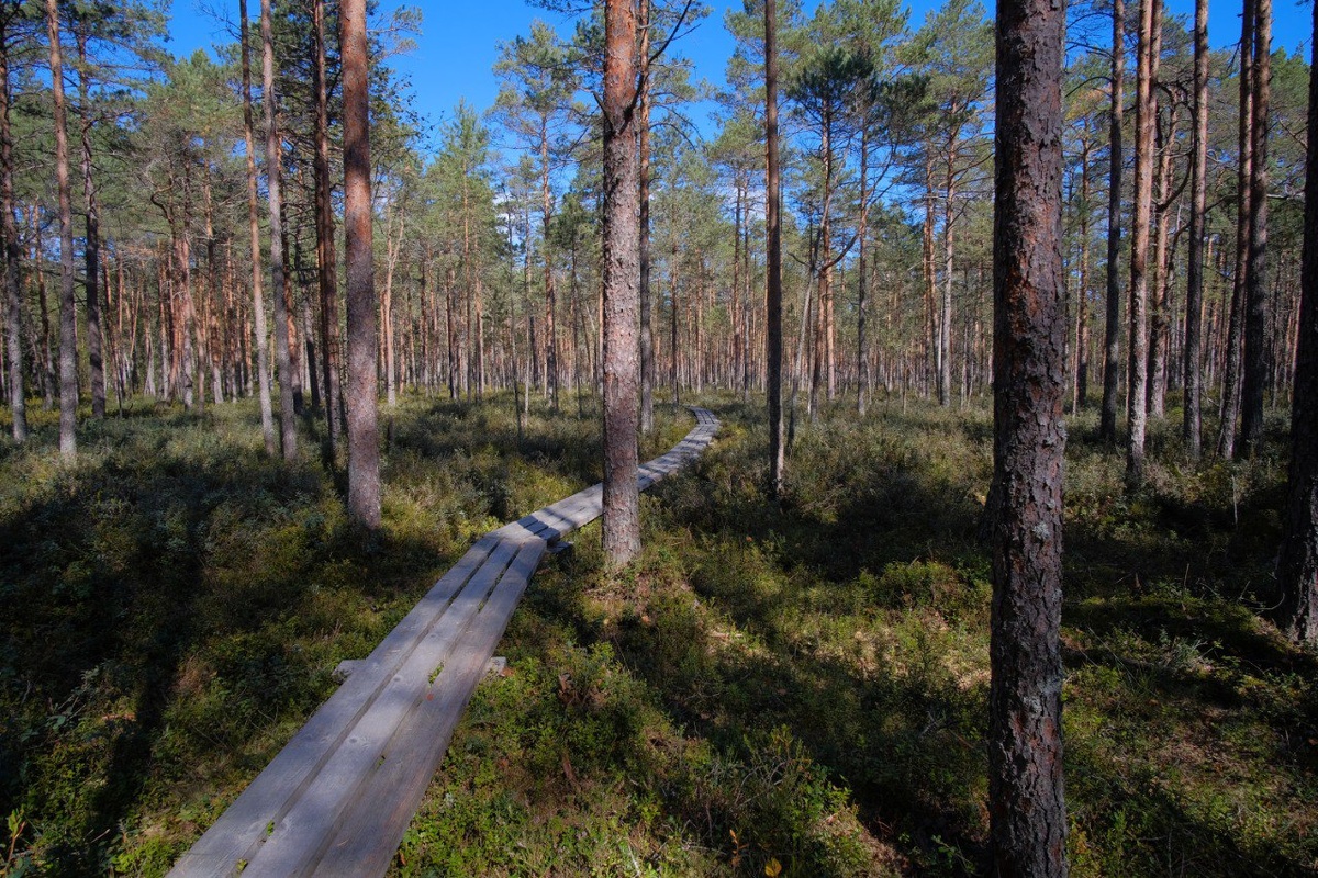 Национальный парк «Смоленское Поозерье» crt67.ru