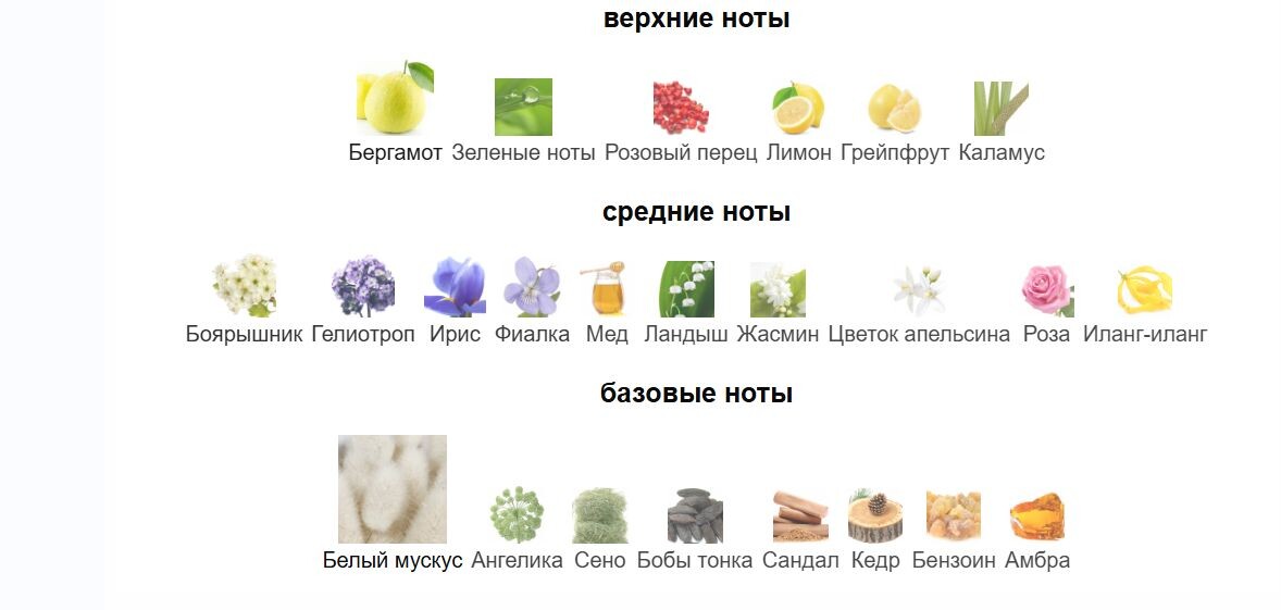 fragrantica.ru
