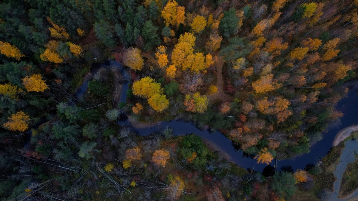    Фото: "Республика" / Даниил Рыжихин