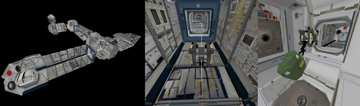 Фото:  Morton et al  📷
