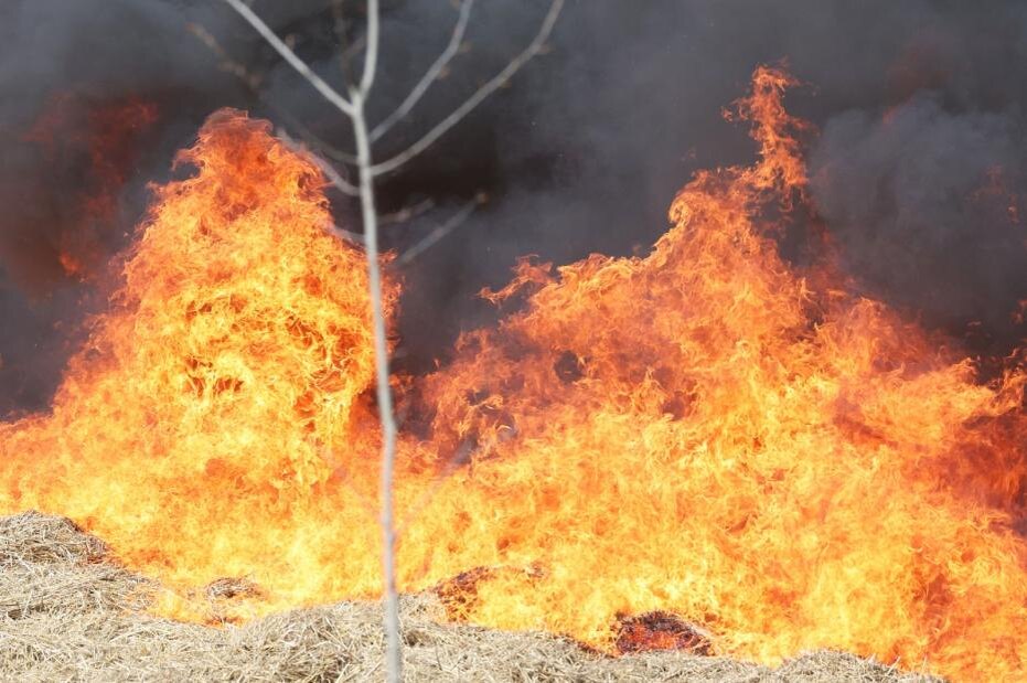    Сергей Петров/NEWS.ru