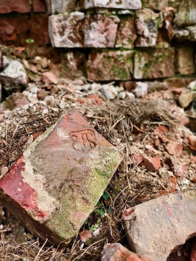     Источник: vc.kom/Ижевская Искра