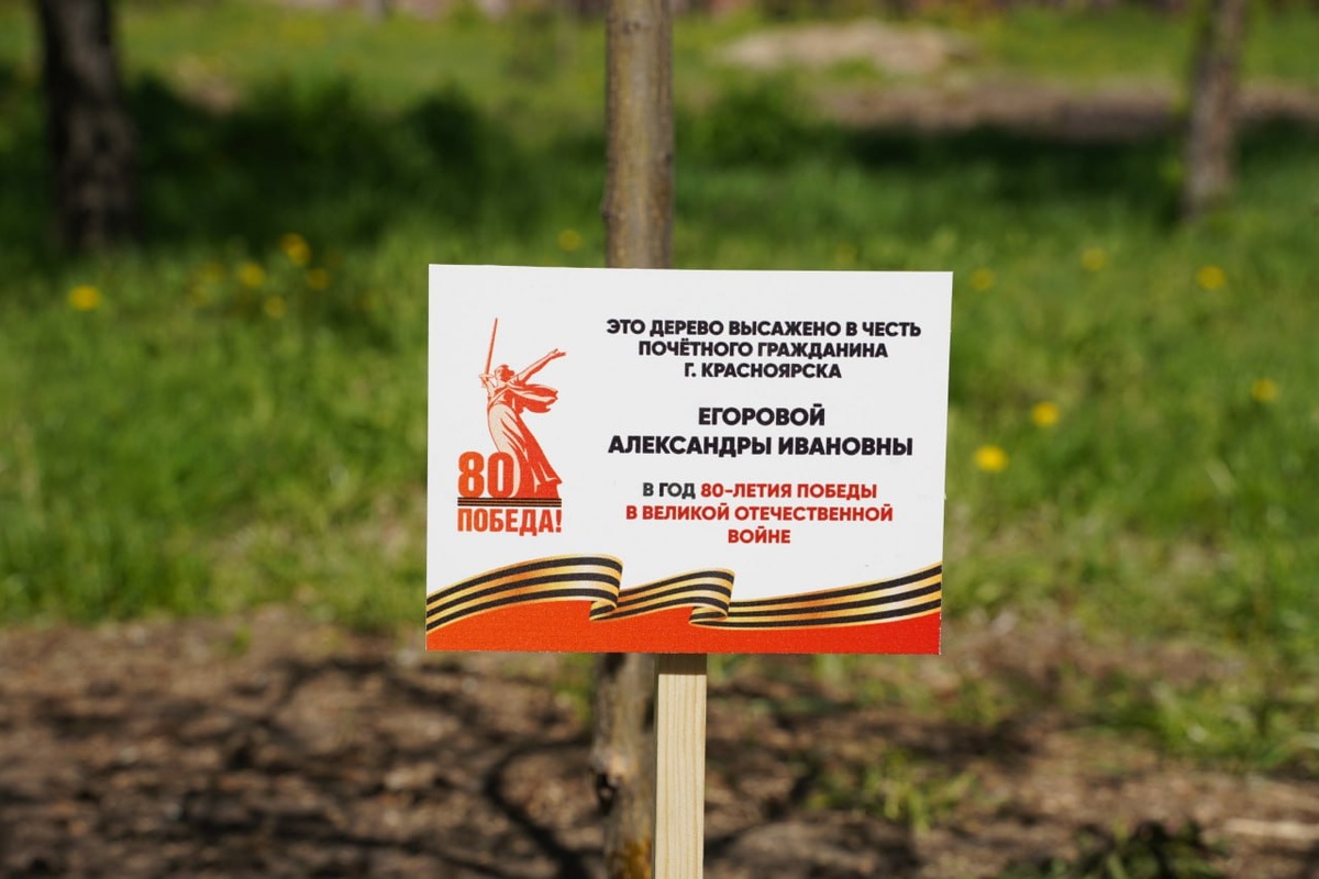    Фото: Telegram-канал «Мэрия Красноярска»