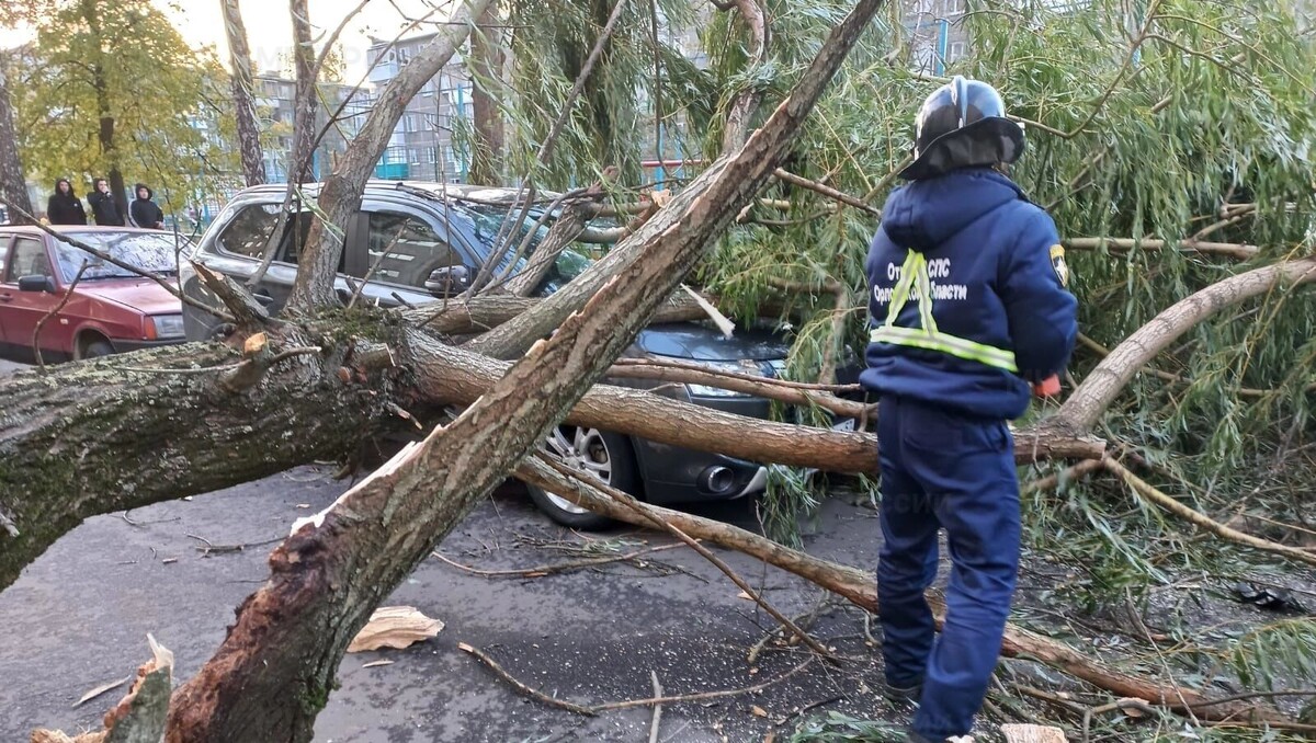     Автор: 57.mchs.gov.ru