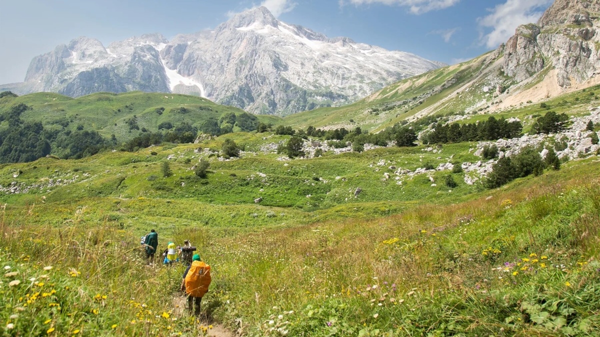 пресс-служба главы Адыгеи📷
