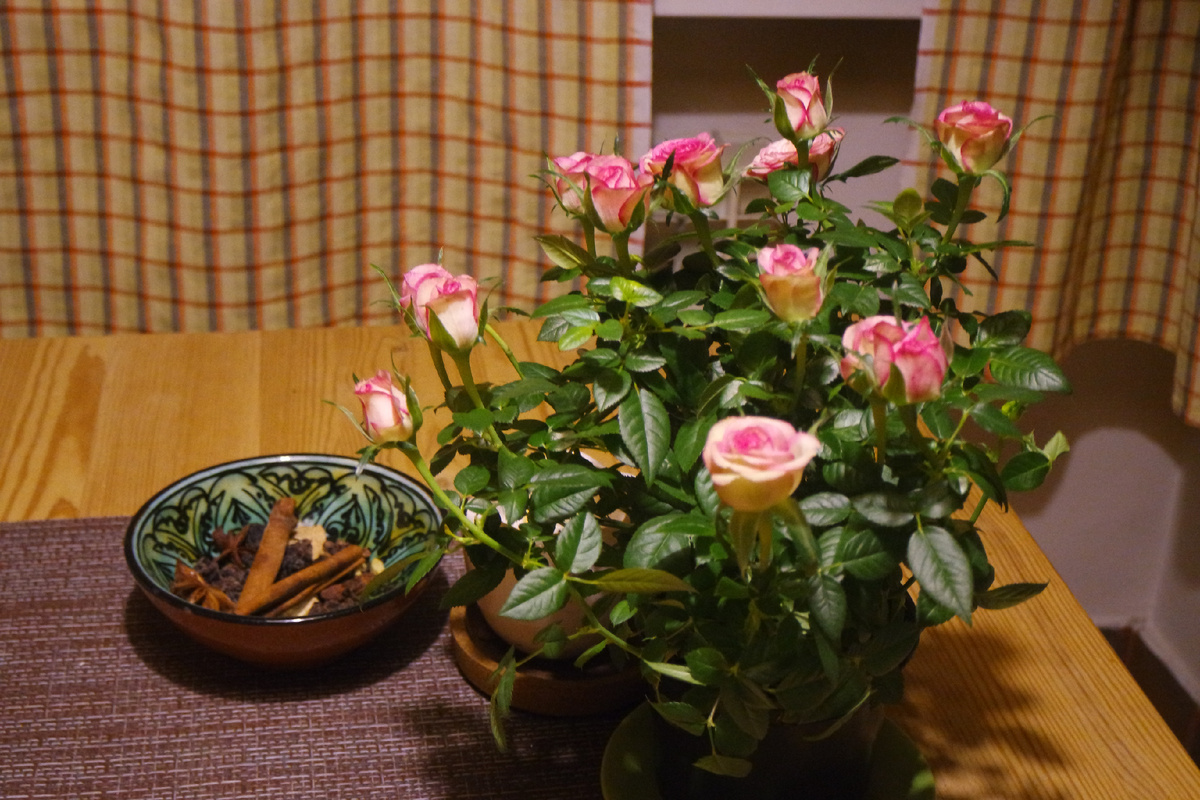 розочки, подаренные третьим классом (они всем оптом дарили, но всё равно миленько и оживляет атмосферу... это я к тому, что в каком-то смысле предметники менее всех избалованы цветами, но на фоне остальных профессий - закормлены даже)