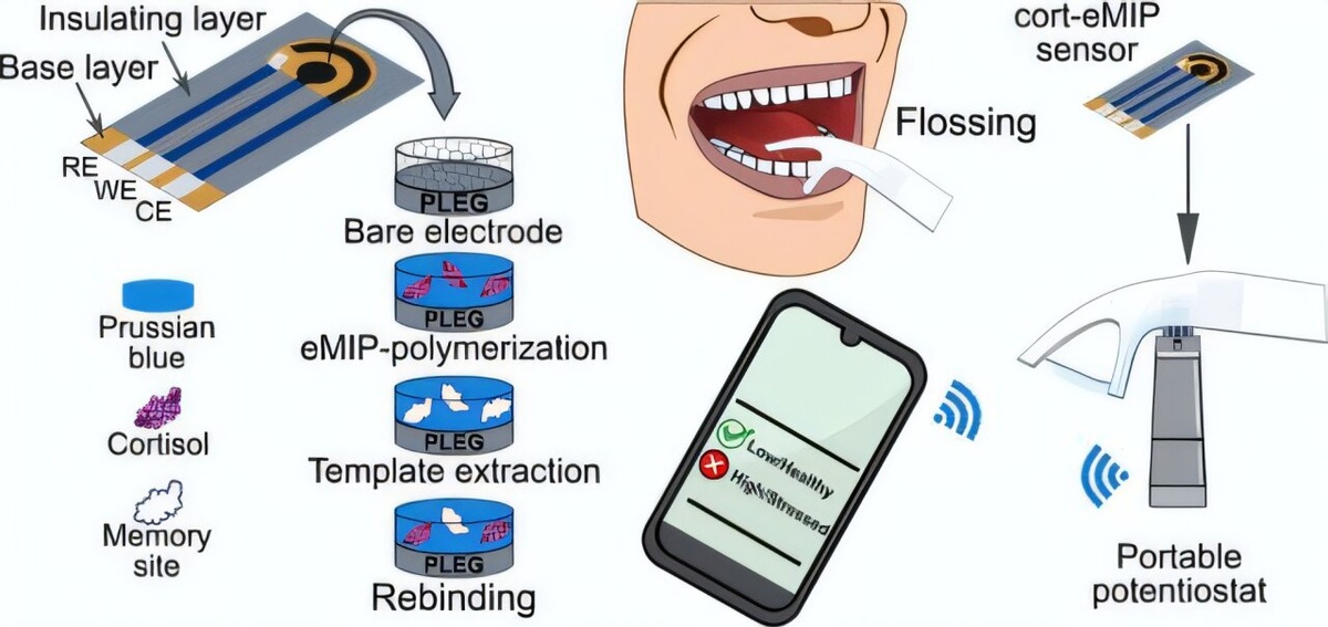 Фото: medicalxpress