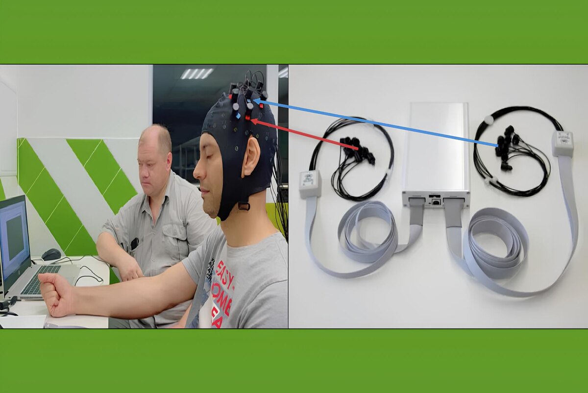 Фото: БелГУ