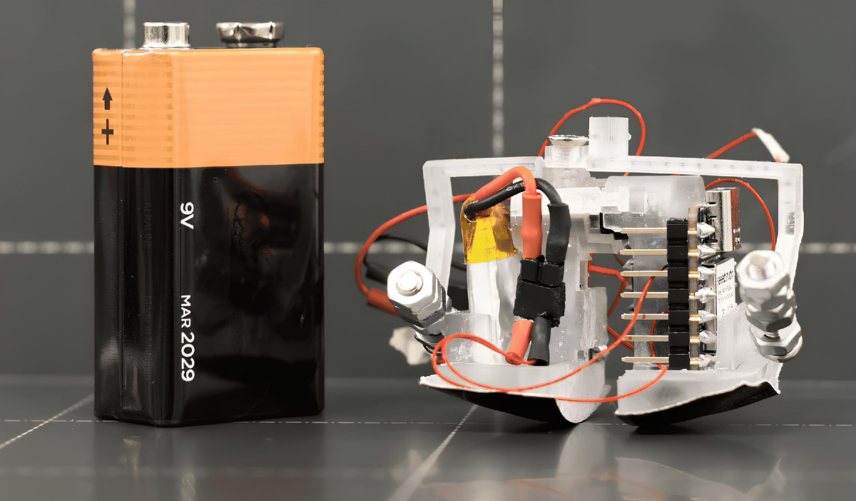 Фото: Университет Карнеги — Меллона