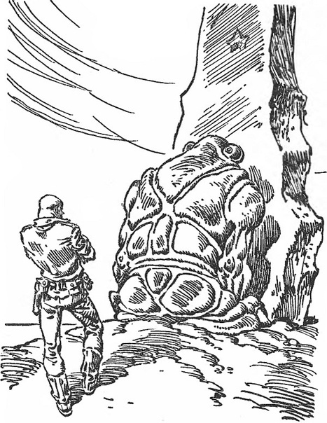 Изображение из открытых источников