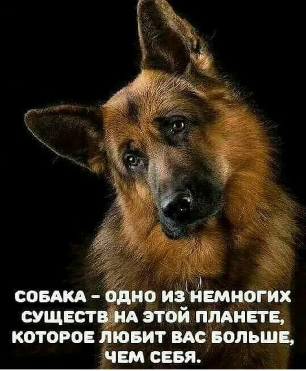 Фото из открытых источников интернета