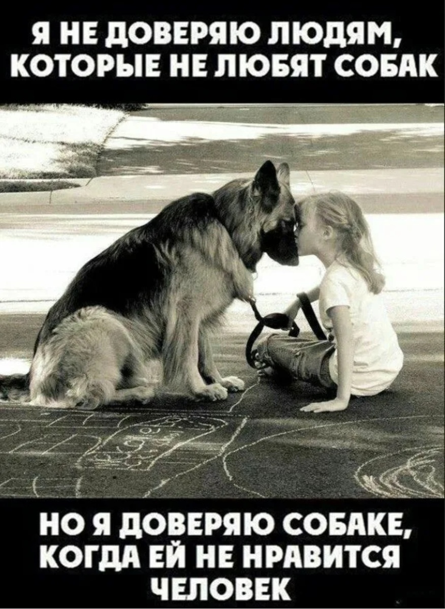 Фото из открытых источников интернета