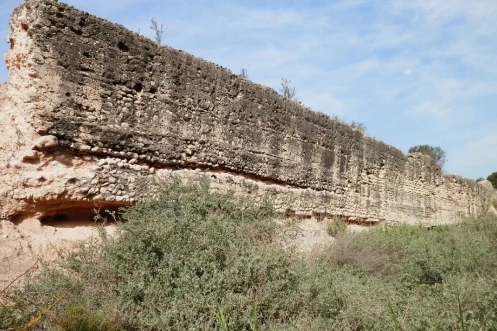     Фото: Universidad de Alicante