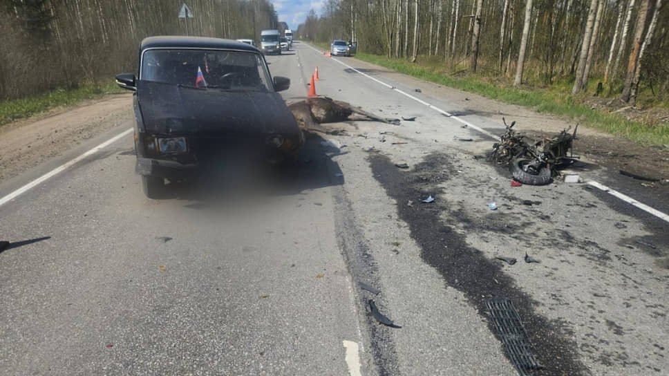 Фото: ГУ МВД РФ по Петербургу и Ленобласти