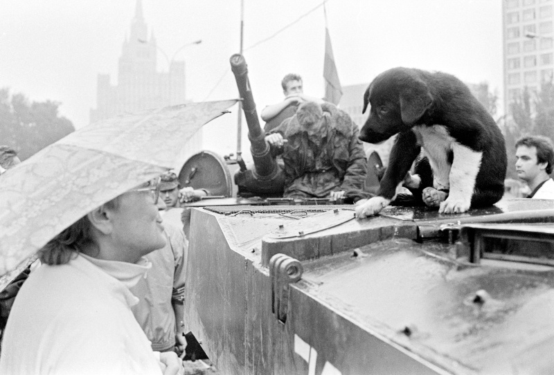    Фото: Aleksandr Schemlyaev/Russian Look/Global Look Press