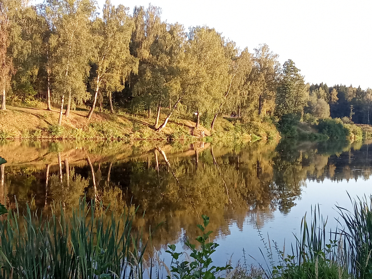 Фото автора