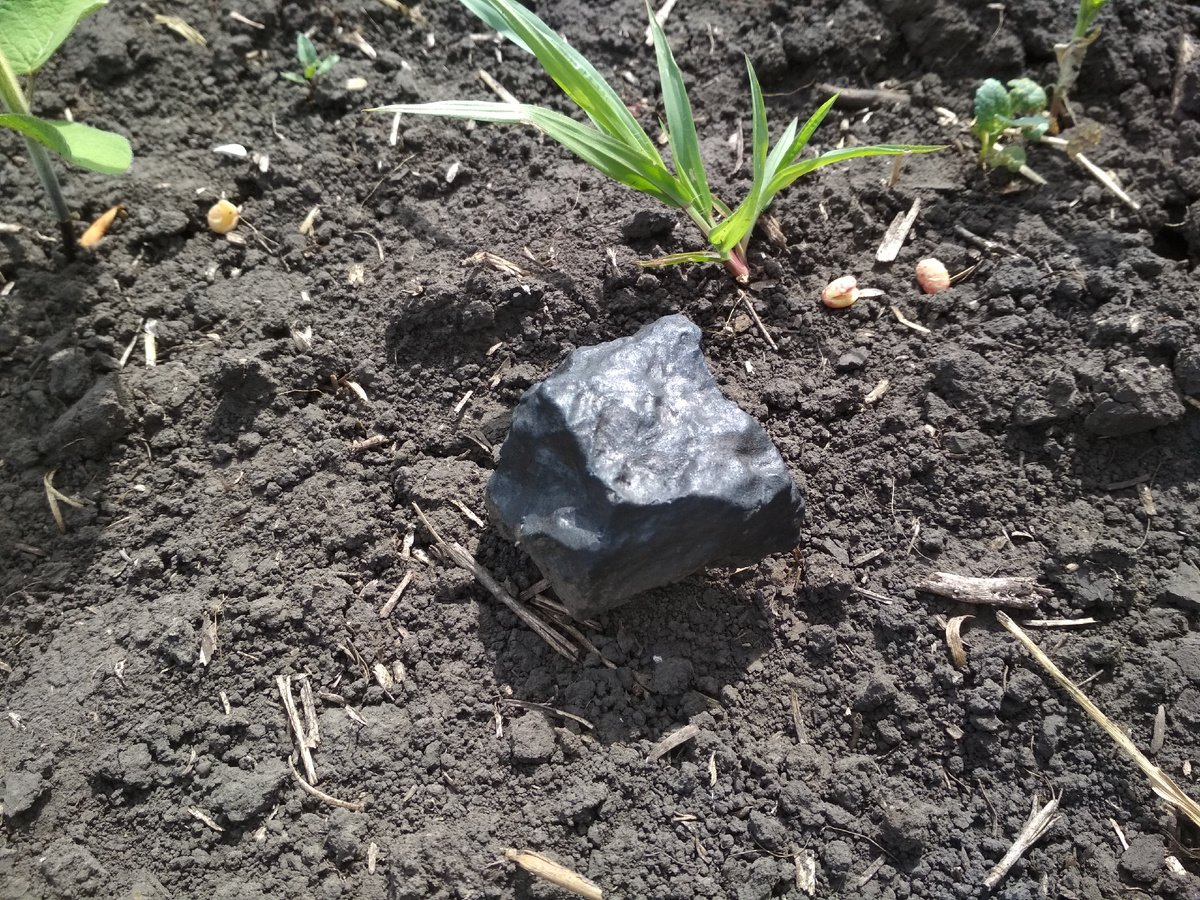 Первые фрагменты метеорита Озерки поисковая группа УрФУ обнаружила 25 июня 2018 года. Фото: Евгения Петрова.